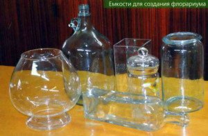 Важливі поради по створенню флораріум своїми руками