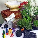 Композиції з квітів та рослин в інтерєрі кухні майстер клас
