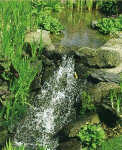 Як підібрати насос для водної завіси і каскаду
