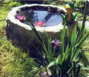Цікаві ідеї – клумба годинник, водойма флюгер і інше