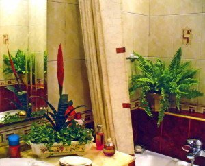 Які квіткові композиції підійдуть для ванної кімнати