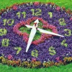 Цікаві ідеї – клумба годинник, водойма флюгер і інше