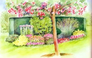 Якою створити квітник під деревами