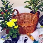 Композиції з квітів та рослин в інтерєрі кухні майстер клас