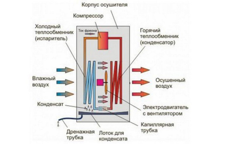 Поглинач вологи для будинку: як вибрати і зробити своїми руками