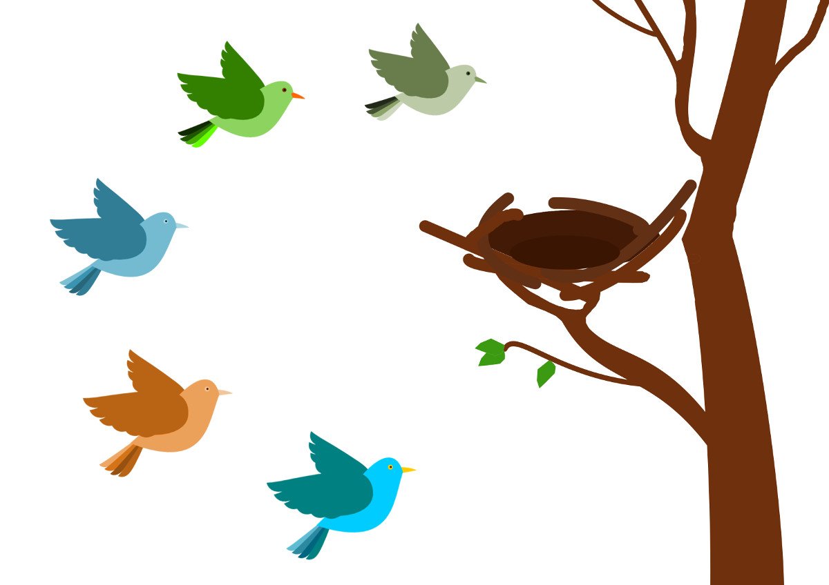 Игра птичка на дереве. Птичка рисунок. Весенние птички для детей. Птичка на дереве.