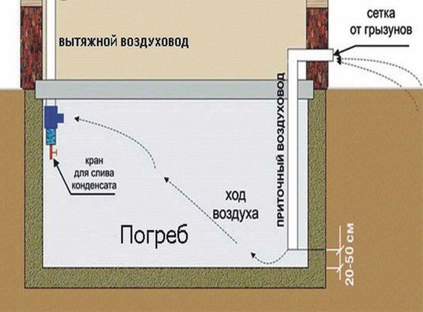 Як позбутися від вогкості в будинку: причини та способи їх усунення