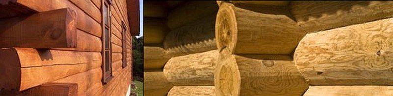Який краще вибрати антисептик для деревини: види та їх особливості