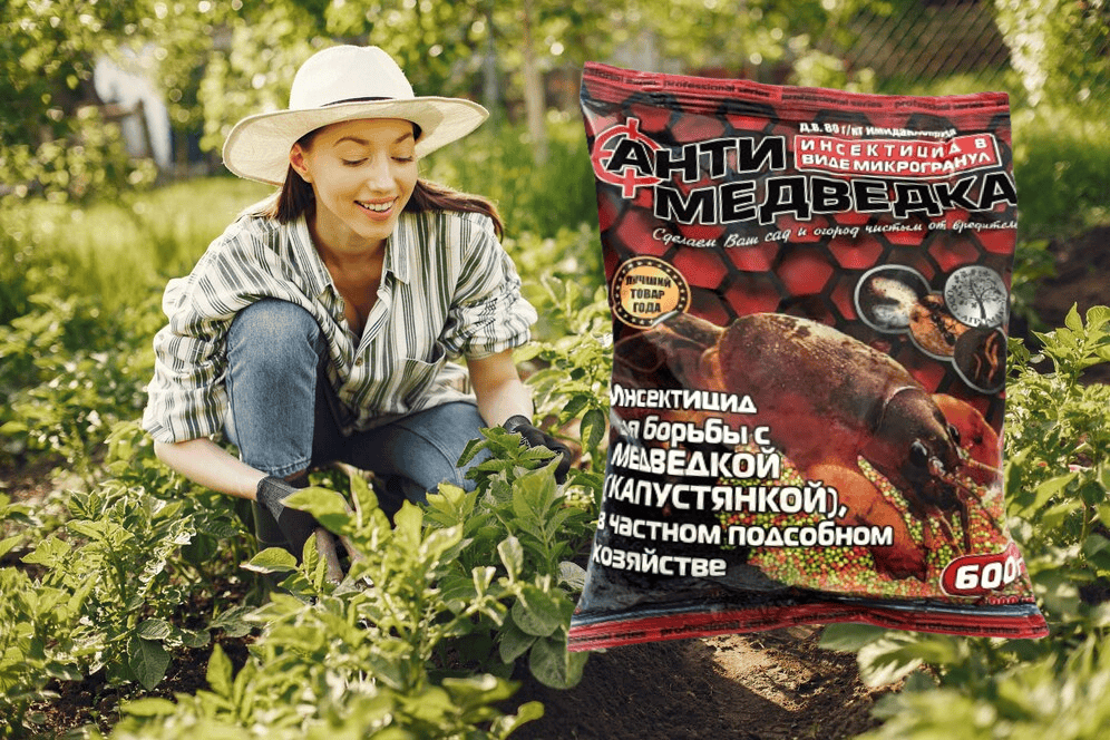 Ідеальне рішення для боротьби з капустянкою   Антимедведка від компанії Agromaxi Україна